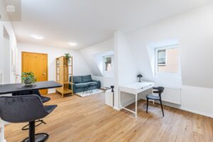 Holzstrasse 20 - Furth-15