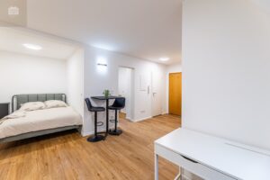 Holzstrasse 20 - Furth-9