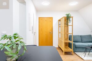 Holzstrasse 20 - Furth-12