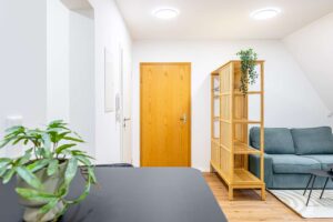 Holzstrasse 20 - Furth-12