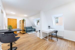 Holzstrasse 20 - Furth-15