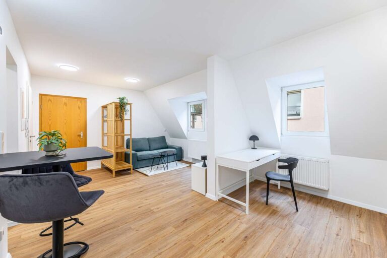 Holzstrasse 20 - Furth-15